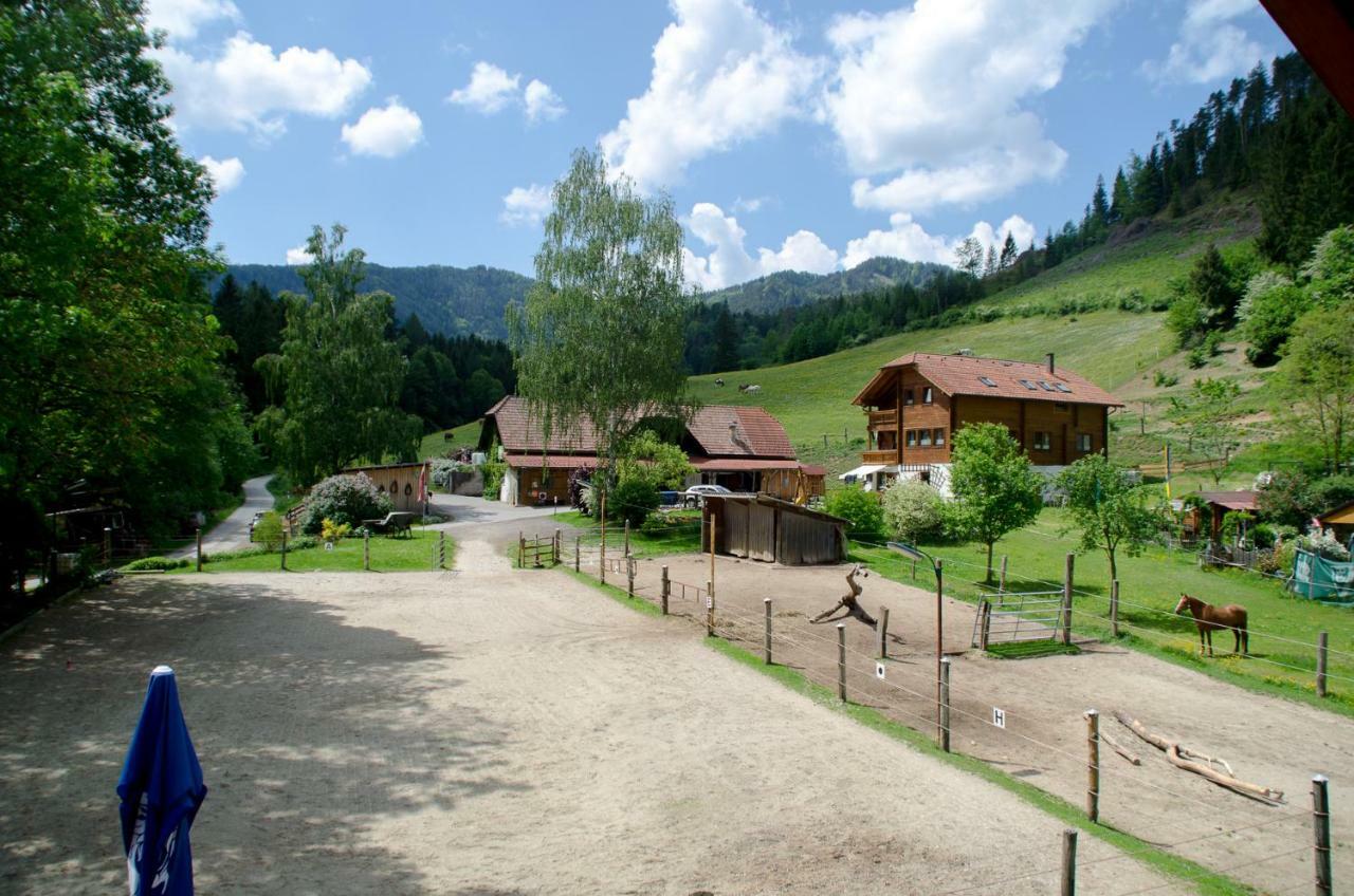 Reiterbauernhof Maho Villa Sankt Aegyd am Neuwalde Exterior foto